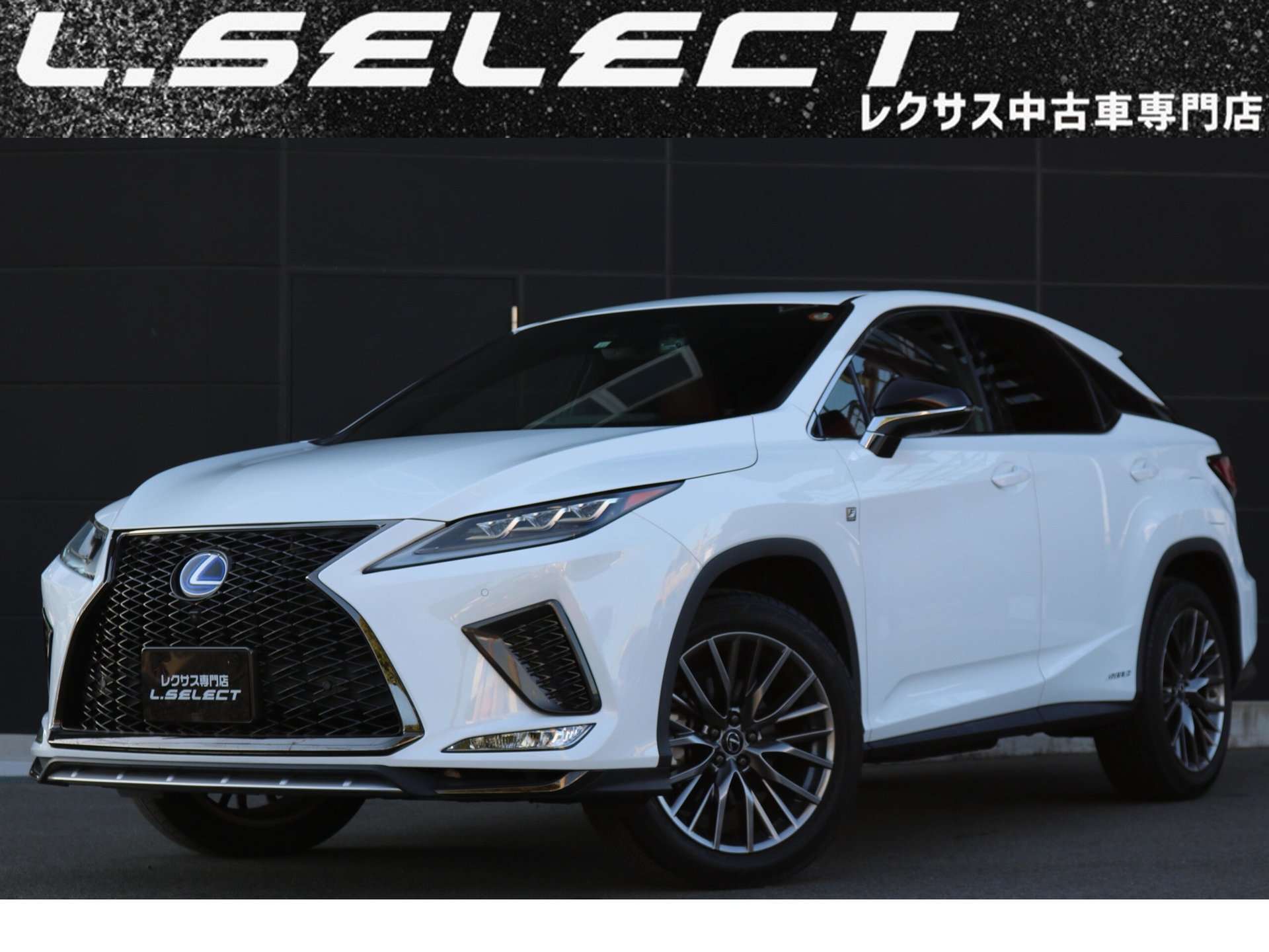 LEXUS RX - View 1