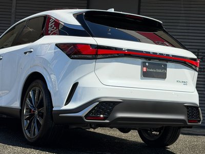 2026 Lexus RX photo 10