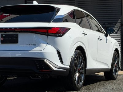 2026 Lexus RX photo 6
