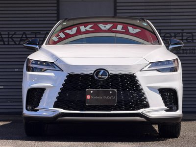 2026 Lexus RX photo 2
