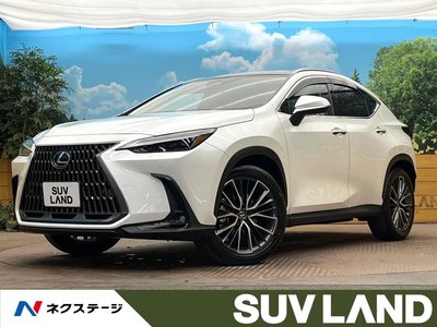 LEXUS NX - 1