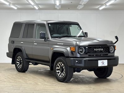 2024 Toyota LAND CRUISER 70 缩略图 29