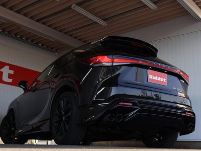 LEXUS RX - 5