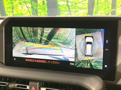 2025 Toyota LAND CRUISER 250 照片 4