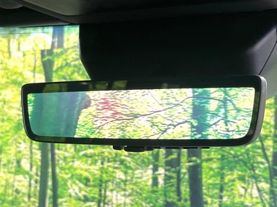 2025 Toyota LAND CRUISER 250 照片 6