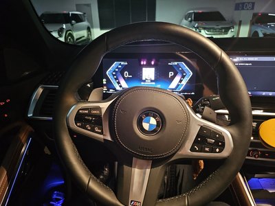 BMW X6 - 7