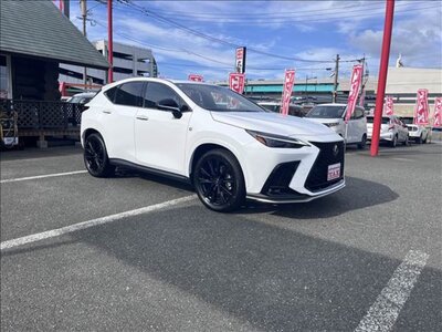 LEXUS NX - 10