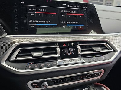 2020 BMW X6 缩略图 19