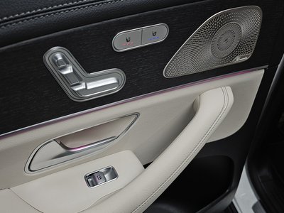 2022 Mercedes-BENZ GLS 缩略图 30