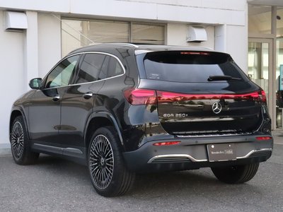 2025 Mercedes-BENZ EQA — миниатюра 12