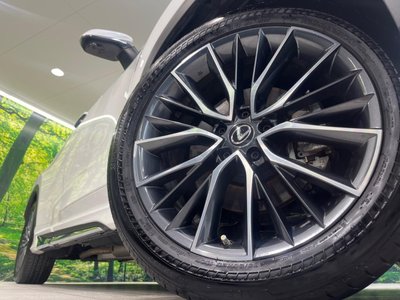 2023 Lexus NX 缩略图 13