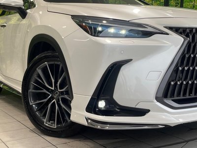 2023 Lexus NX 缩略图 12