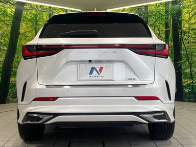 2023 Lexus NX 缩略图 15