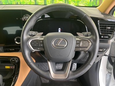 2023 Lexus NX 缩略图 11