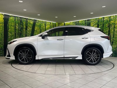 2023 Lexus NX 缩略图 59