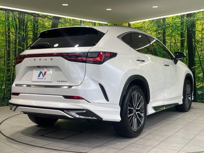 2023 Lexus NX 缩略图 17