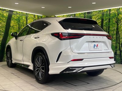 2023 Lexus NX 缩略图 60