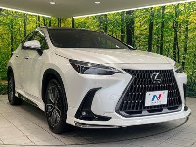 2023 Lexus NX 缩略图 16