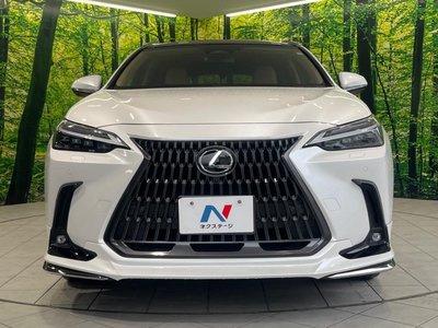 2023 Lexus NX 缩略图 14
