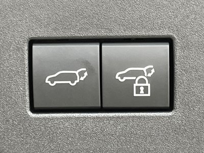 2024 Toyota LAND CRUISER 250 thumbnail 30