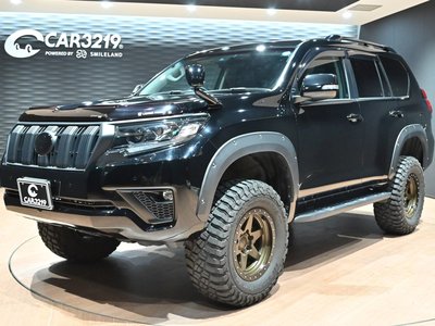 TOYOTA LAND CRUISER PRADO - 1