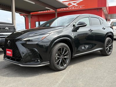 LEXUS NX - 4