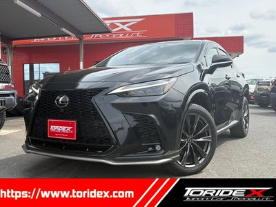 LEXUS NX - 1