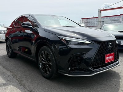 LEXUS NX - 10