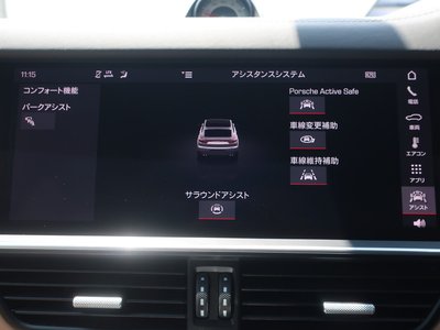 2021 Porsche CAYENNE 缩略图 50