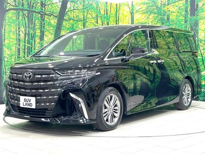 2024 Toyota ALPHARD 缩略图 69