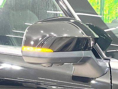 2024 Toyota ALPHARD 缩略图 63