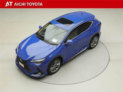 LEXUS NX - 10
