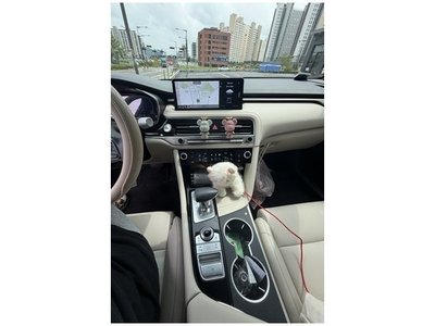 2025 Genesis THE NEW G70 thumbnail 12