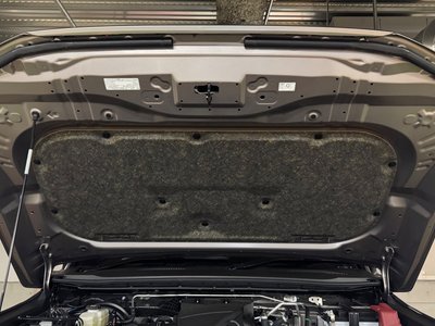 TOYOTA LAND CRUISER 250 - 10