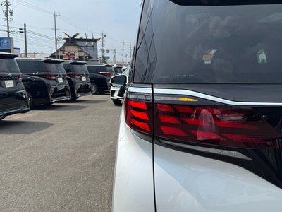 2025 Toyota ALPHARD thumbnail 30