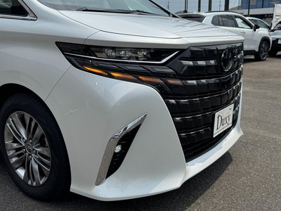 2025 Toyota ALPHARD thumbnail 19