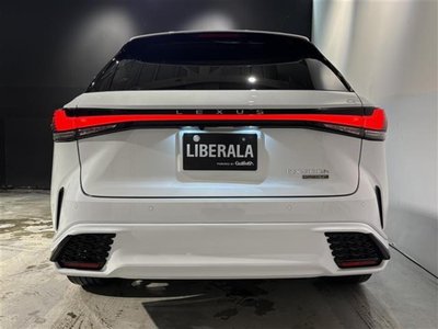 2024 Lexus RX 照片 6