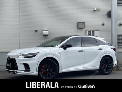 2024 Lexus RX 照片 3