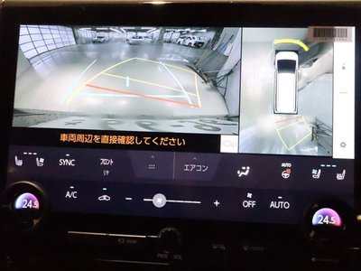 2025 TOYOTA ALPHARD 缩略图 20