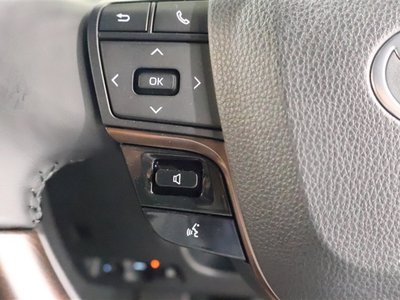 2025 TOYOTA ALPHARD 缩略图 28