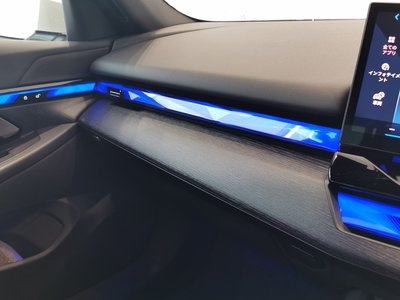 2025 BMW 5 SERIES thumbnail 38