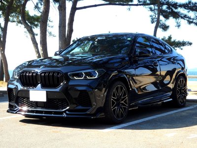 2020 BMW X6 M 照片 1