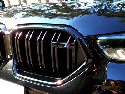 2020 BMW X6 M 照片 5