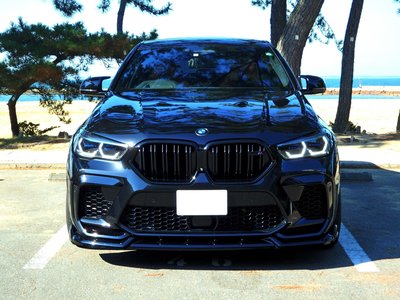 2020 BMW X6 M 照片 12