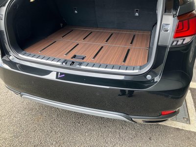 2021 Lexus RX — миниатюра 44