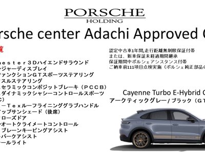 2025 Porsche CAYENNE 照片 2
