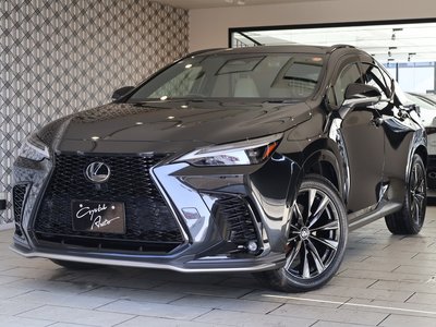 LEXUS NX - 1