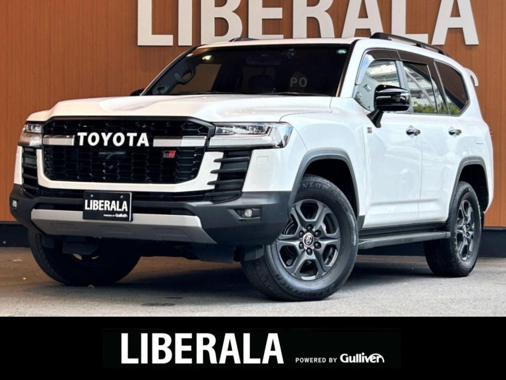 TOYOTA LAND CRUISER 300 - View 1