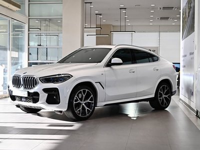 BMW X6 - 1