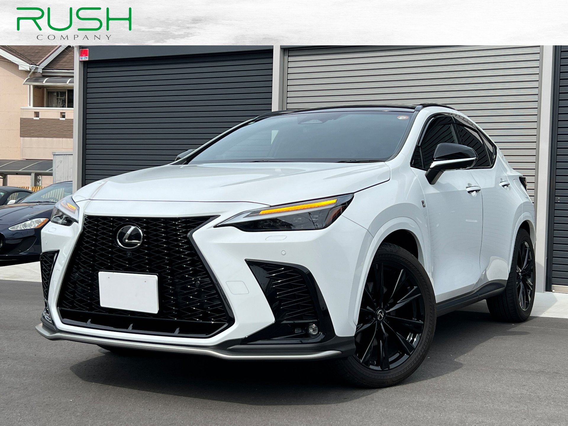 LEXUS NX - View 1